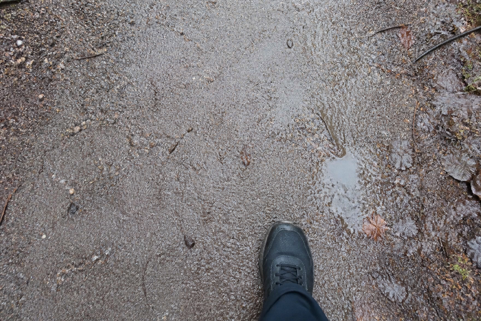 An ordinary walk on a Finnish residential path